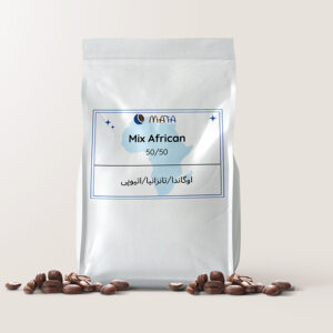 میکس آفریقا